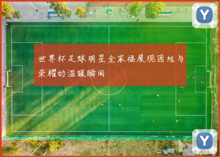 世界杯足球明星全家福展现团结与荣耀的温暖瞬间