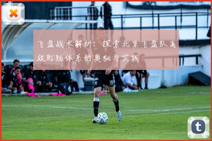 飞盘战术解析：探索北京飞盘队高效盯防体系的奥秘与实践