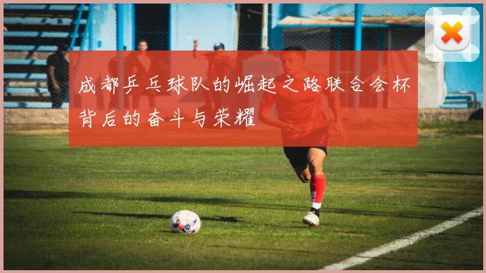 成都乒乓球队的崛起之路联合会杯背后的奋斗与荣耀
