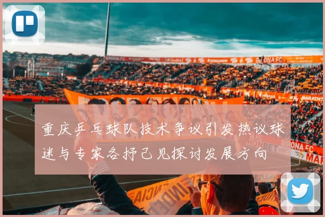 重庆乒乓球队技术争议引发热议球迷与专家各抒己见探讨发展方向
