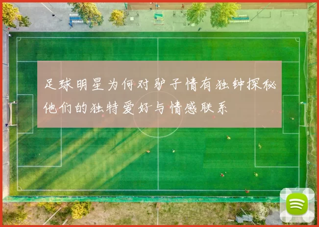 足球明星为何对驴子情有独钟探秘他们的独特爱好与情感联系
