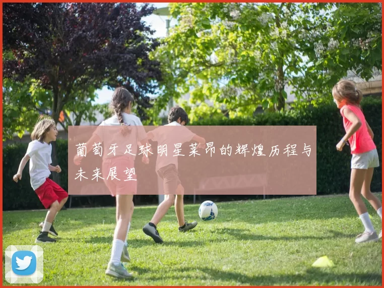 葡萄牙足球明星莱昂的辉煌历程与未来展望