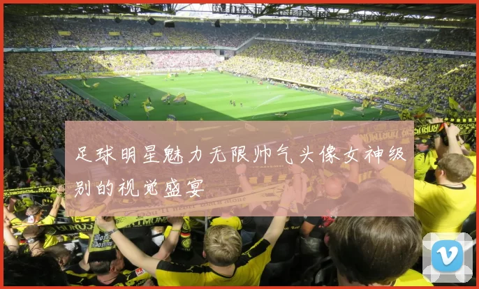 足球明星魅力无限帅气头像女神级别的视觉盛宴