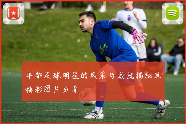 丰都足球明星的风采与成就揭秘及精彩图片分享