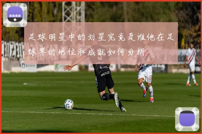 足球明星中的刘星究竟是谁他在足球界的地位和成就如何分析