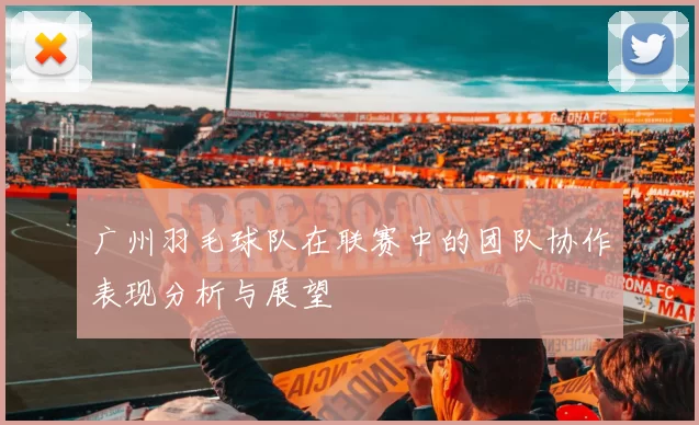广州羽毛球队在联赛中的团队协作表现分析与展望