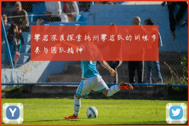 攀岩深度探索杭州攀岩队的训练节奏与团队精神