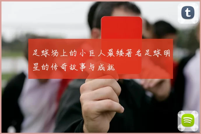 足球场上的小巨人最矮著名足球明星的传奇故事与成就