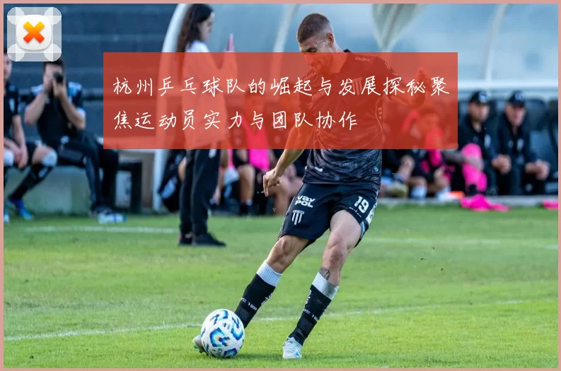 杭州乒乓球队的崛起与发展探秘聚焦运动员实力与团队协作