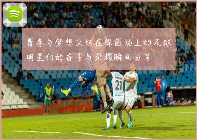 青春与梦想交织在绿茵场上的足球明星们的奋斗与荣耀瞬间分享