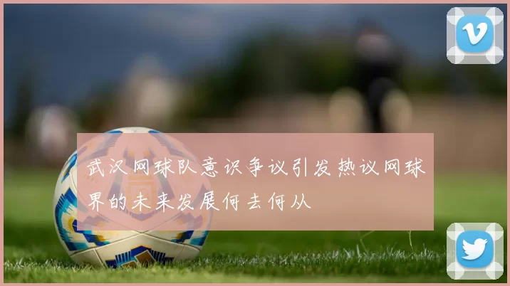 武汉网球队意识争议引发热议网球界的未来发展何去何从