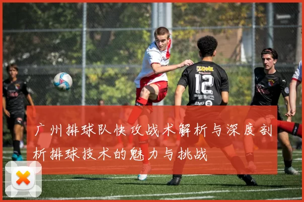 广州排球队快攻战术解析与深度剖析排球技术的魅力与挑战