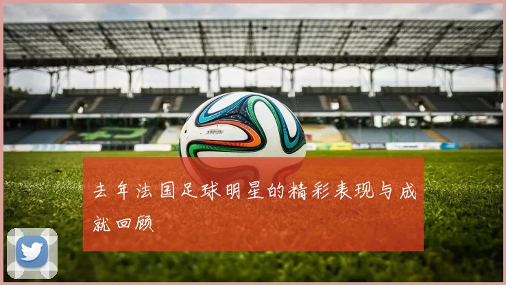 去年法国足球明星的精彩表现与成就回顾