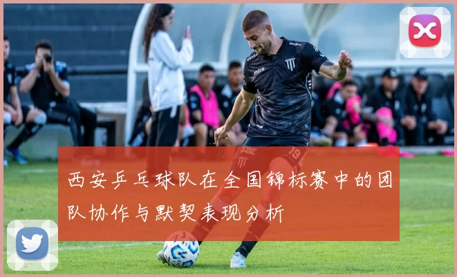 西安乒乓球队在全国锦标赛中的团队协作与默契表现分析